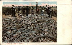 After the Rabbit Drive, California After the Rabbit Drive, California