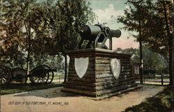 Old Gun in Old Fort Park Old Gun in Old Fort Park