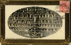 Collection of Heads (South Africa) Collection of Heads (South Africa)
