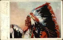 Profile of Yellow Wolf - Indian Chief Profile of Yellow Wolf - Indian Chief