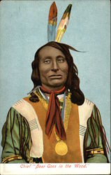 Chief "Bear Goes in the Wood" Chief "Bear Goes in the Wood"