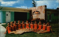 Weeki Wachee Spring of the Mermaids Weeki Wachee Spring of the Mermaids
