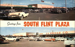 South Flint Plaza South Flint Plaza