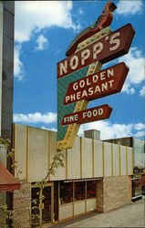 Nopp's Golden Pheasant Nopp's Golden Pheasant