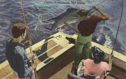 Fishing In The Florida Gulf Stream