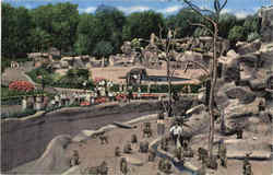 Monkey Island, Detroit Zoo
