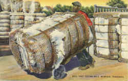 Roll That Cotton Bale