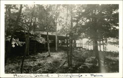 Cabin in Woods Cabin in Woods