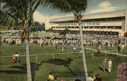 Gulfstream Park Race Track Hollywood, FL Postcard Postcard