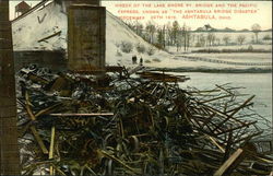 Wreck of the Lake Shore Ry. Bridge Wreck of the Lake Shore Ry. Bridge