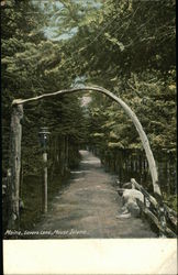 Lovers Lane, Mouse Island Lovers Lane, Mouse Island