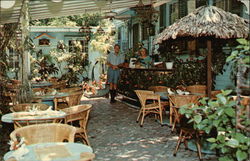 Pigeon Patio Pigeon Patio