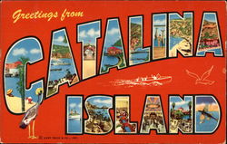 Greetings from Catalina Island Greetings from Catalina Island