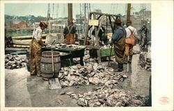 Weighing Up the Catch Weighing Up the Catch