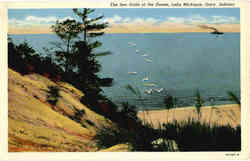 The Sea Gulls of the Dunes, Lake Michigan The Sea Gulls of the Dunes, Lake Michigan