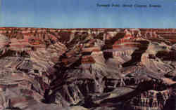 Previous Card