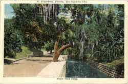 Roser Park Drive