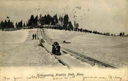 Tobogganing