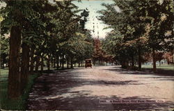 Shady Drive, City Park Shady Drive, City Park