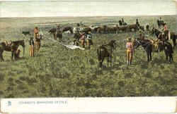 Previous Card