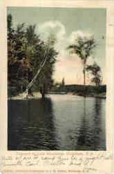 Previous Card