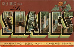 Greetings from The Shades Scenic Park Postcard