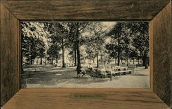 In Walbridge Park In Walbridge Park