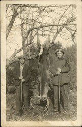 Whitetail deer harvest Whitetail deer harvest