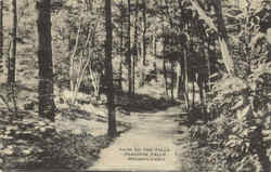 Path To The Falls, Paradise Falls Path To The Falls, Paradise Falls