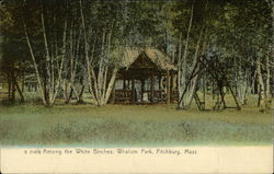 Among the White Birches, Whalom Park Among the White Birches, Whalom Park
