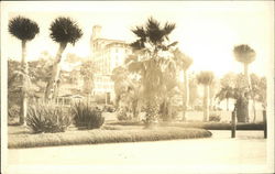 View of Tall Hotel Surrounded by Palm Trees View of Tall Hotel Surrounded by Palm Trees