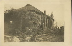 Man Standing in front of Ivy Covered Bungalow Man Standing in front of Ivy Covered Bungalow