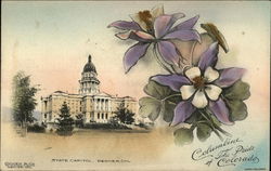 Columbine, the pride of Colorado Columbine, the pride of Colorado