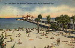 Spa Beach and Municipal Pier on Tampa Bay Spa Beach and Municipal Pier on Tampa Bay