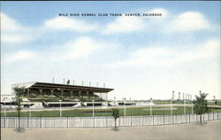 Mile High Kennel Club Track Mile High Kennel Club Track