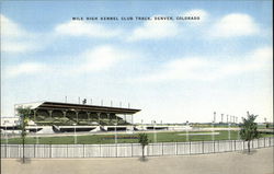 Mile High Kennel Club Track Mile High Kennel Club Track