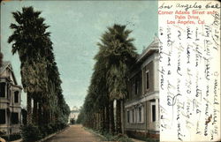 Corner Adams Street and Palm Drive Corner Adams Street and Palm Drive