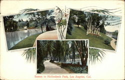Scenes in Hollenbeck Park Scenes in Hollenbeck Park