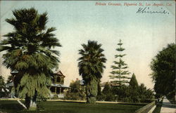 Private Grounds, Figueroa Street Private Grounds, Figueroa Street