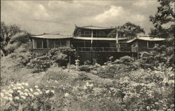 Dan Sing Fan Tea House and Gift Shop Dan Sing Fan Tea House and Gift Shop