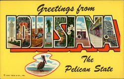 Greetings from Louisiana, The Pelican State Greetings from Louisiana, The Pelican State