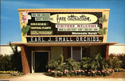 Earl J. Small Orchids, Inc. Earl J. Small Orchids, Inc.