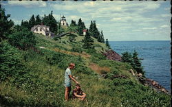 Owls Head Owls Head