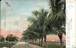 Barracks - Cocoanut Palm Walk Barracks - Cocoanut Palm Walk