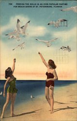 Feeding The Gulls Feeding The Gulls
