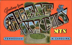 Greetings from Great Smoky Mts Tennessee N. Carolina Greetings from Great Smoky Mts Tennessee N. Carolina