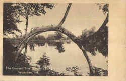 The Crooked Tree, Saager's Pond