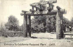 Previous Card