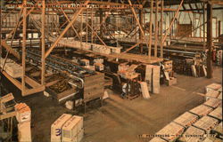 Orange and Grapefruit Packing Plant in The Sunshine City Orange and Grapefruit Packing Plant in The Sunshine City