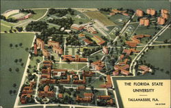 The Florida State University The Florida State University